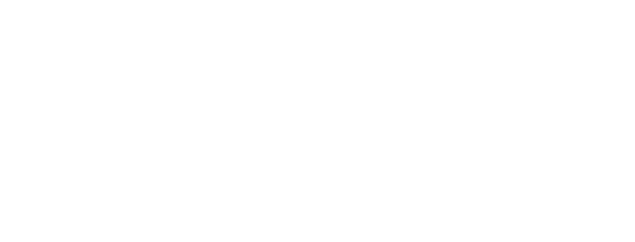 Convex Consulting